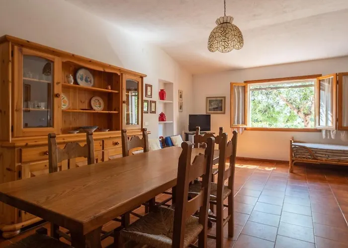 Ulivo A Fuile Mare Orosei *