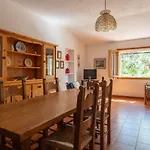 Ulivo A Fuile Mare Orosei