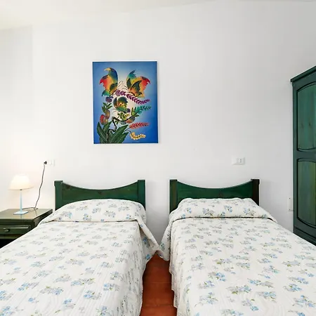 Ulivo A Fuile Mare Orosei *