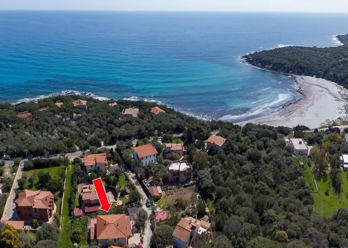 Ulivo A Fuile Mare Orosei